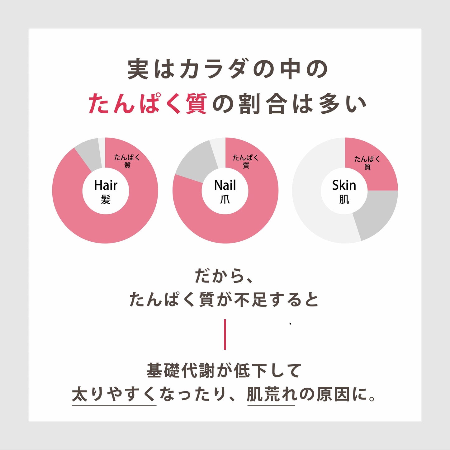 Daily Protein THE PERFECT COLLAGEN レモン味 285g