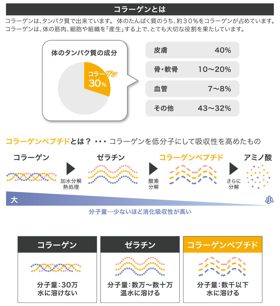 コラーゲンとは
