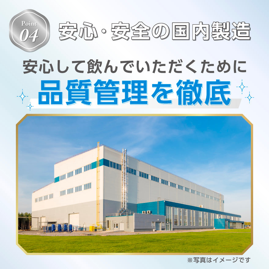 CPI完全栄養食プロテイン アップル味