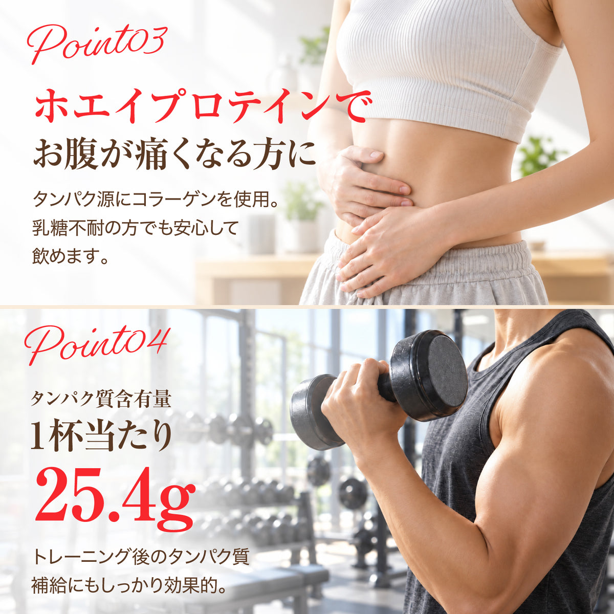 完全栄養食CPIプロテイン（リニューアル版）（定期便）